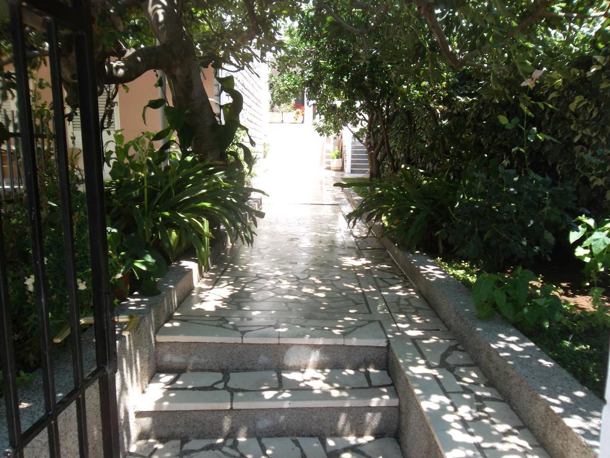 Guest House 4M Petrovac Exterior photo